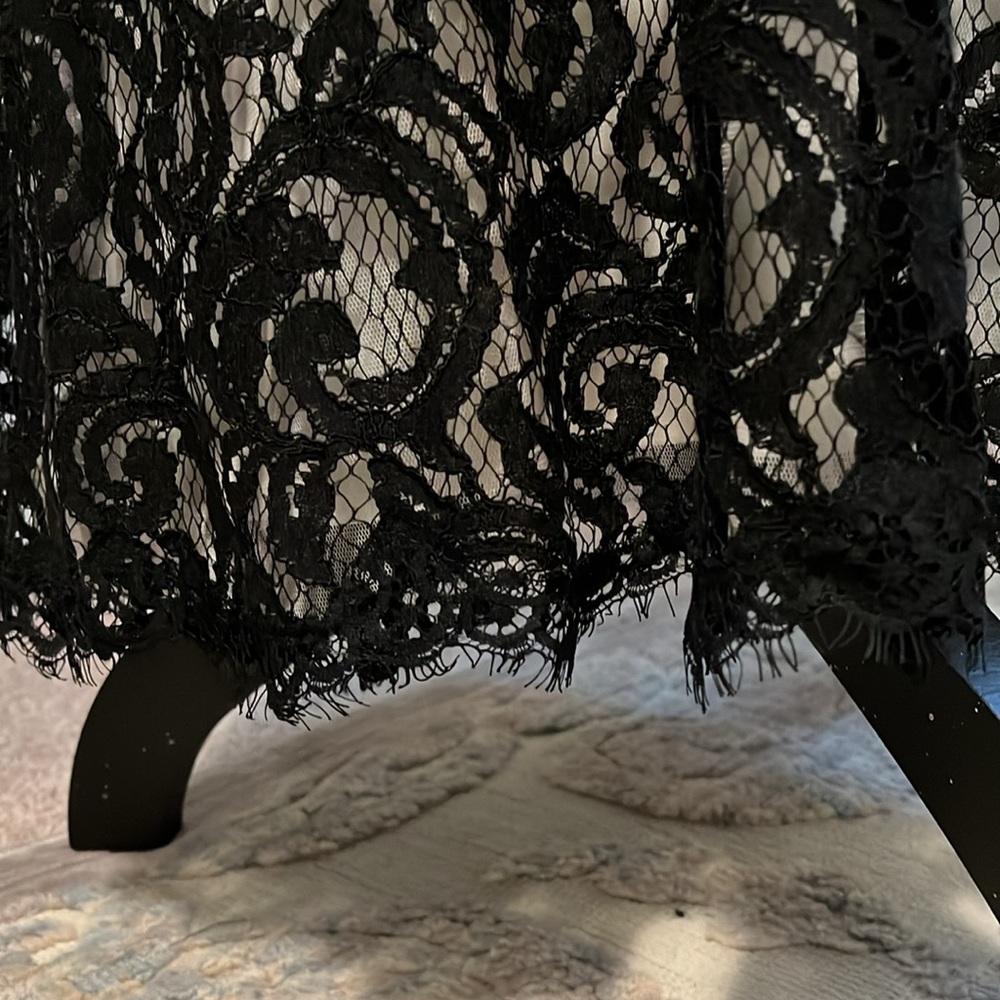 Tadashi Shoji Chantilly Lace Gown - Picture 8 of 15